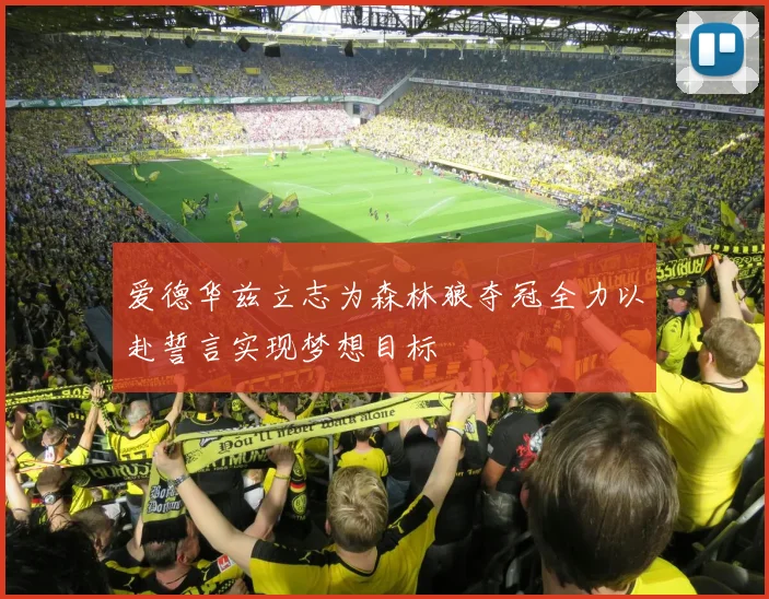 爱德华兹立志为森林狼夺冠全力以赴誓言实现梦想目标