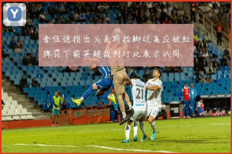 舍伍德指出戈麦斯抬脚过高应被红牌罚下前英超裁判对此表示认同