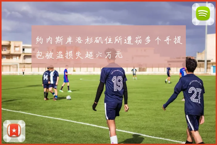 约内斯库洛杉矶住所遭窃多个手提包被盗损失超六万元